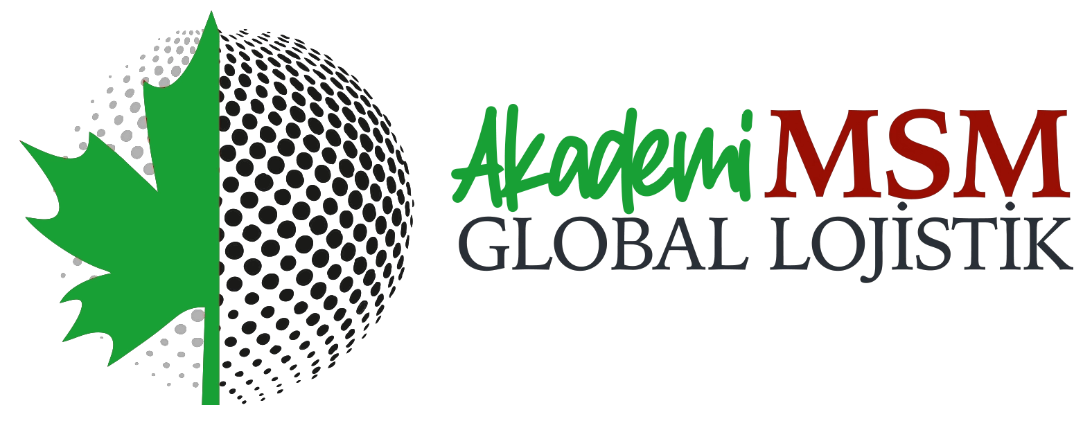 MSM Global Lojistik